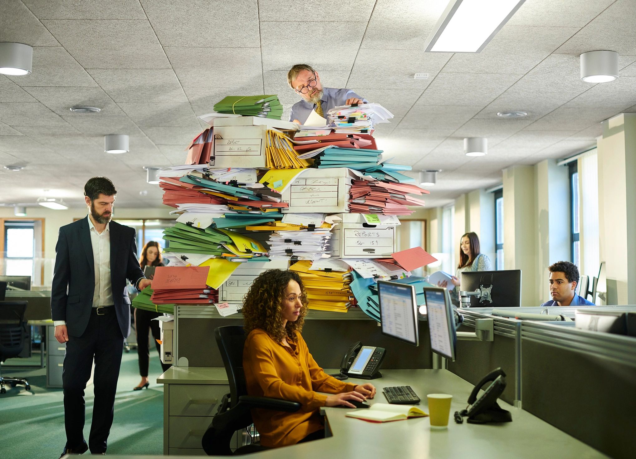 compliance audit office